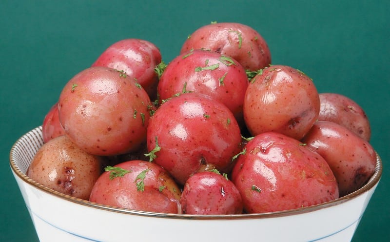 Red Potatoes in Bowl Food Picture