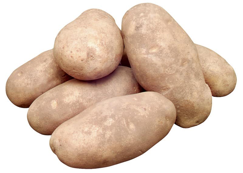 Russet Potatoes Isolated Food Picture