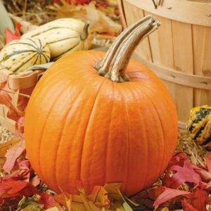 Pumpkin over Leaves with Basket Food Picture