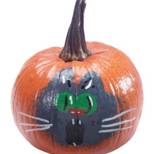 Painted Pumpkin with Cat Face on White Background Food Picture
