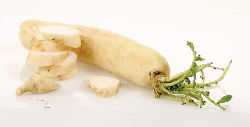 Daikon Radish with Slices on White Surface Food Picture