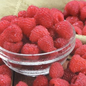 Raspberries in a Bowl on a Cloth Food Picture