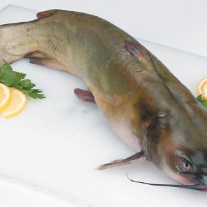 Whole Raw Catfish with Garnish on White Surface Food Picture