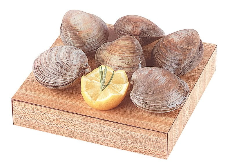 Raw Cherrystone Clams on Wooden Surface with Lemon Garnish Food Picture