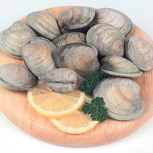 Raw Littleneck Clams with Garnish on Wooden Surface Food Picture