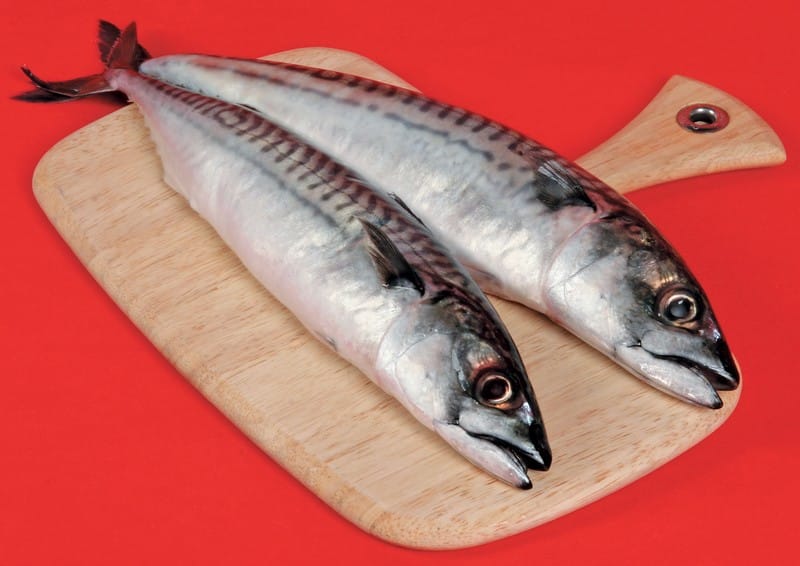Whole Mackerel fish on wooden slab with red background Food Picture