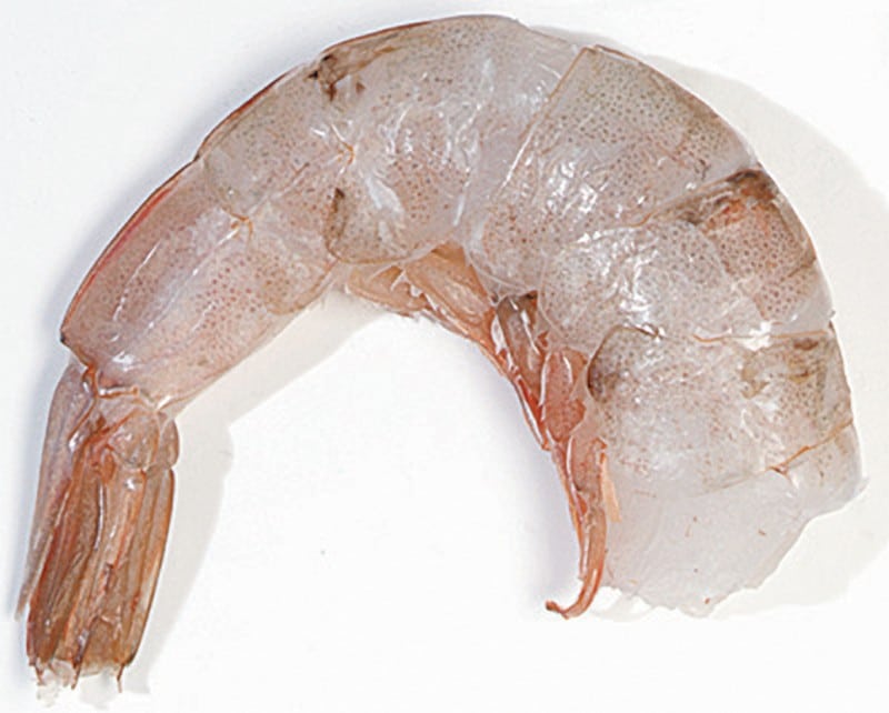 Single Raw Shrimp on White Background Food Picture