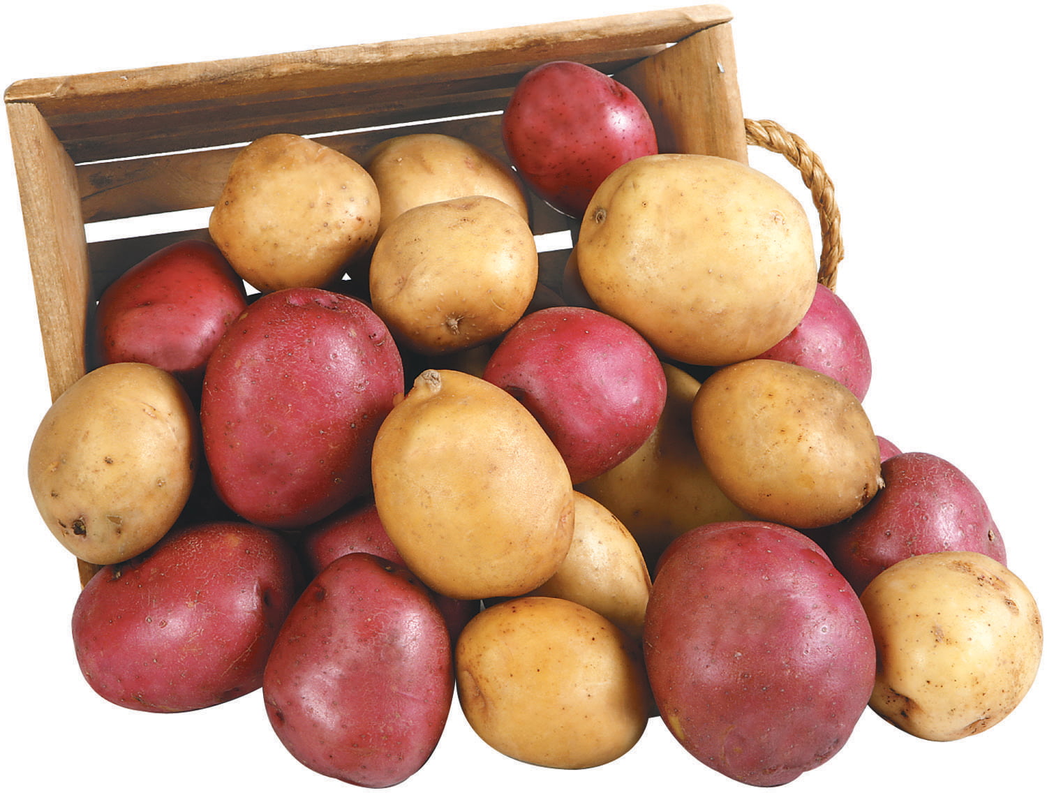 Red and Golden Potatoes Falling Out of Basket Food Picture