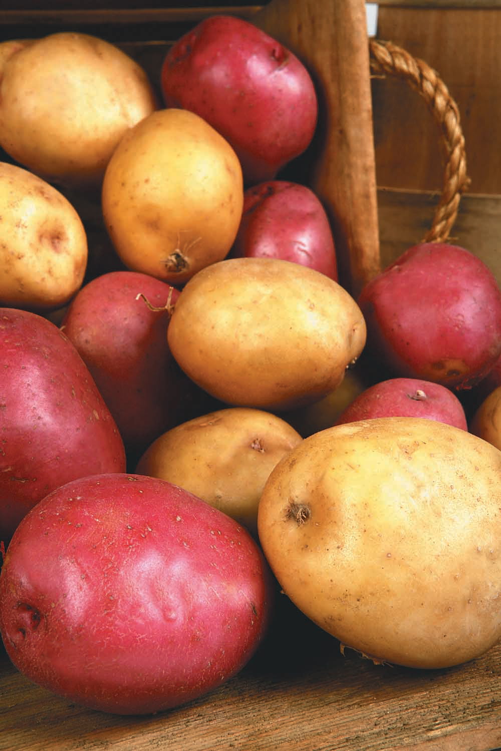 Red and Golden Potatoes Food Picture