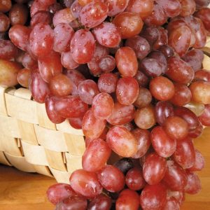 Red Grapes in a Basket Food Picture