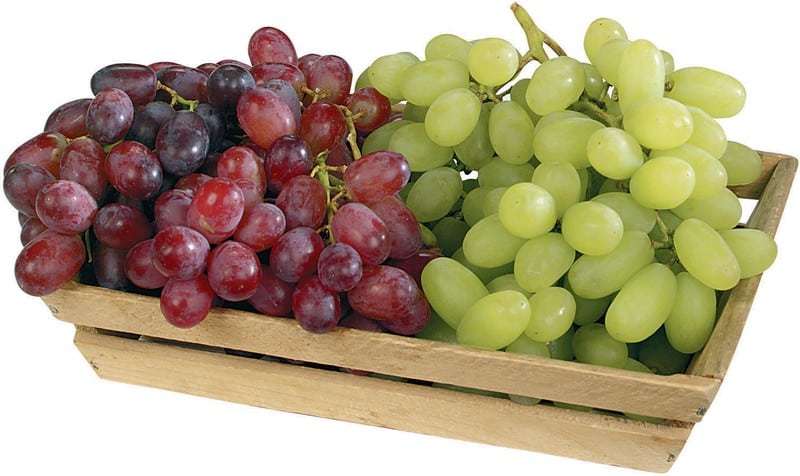 Red and Green Grapes in a Basket Food Picture