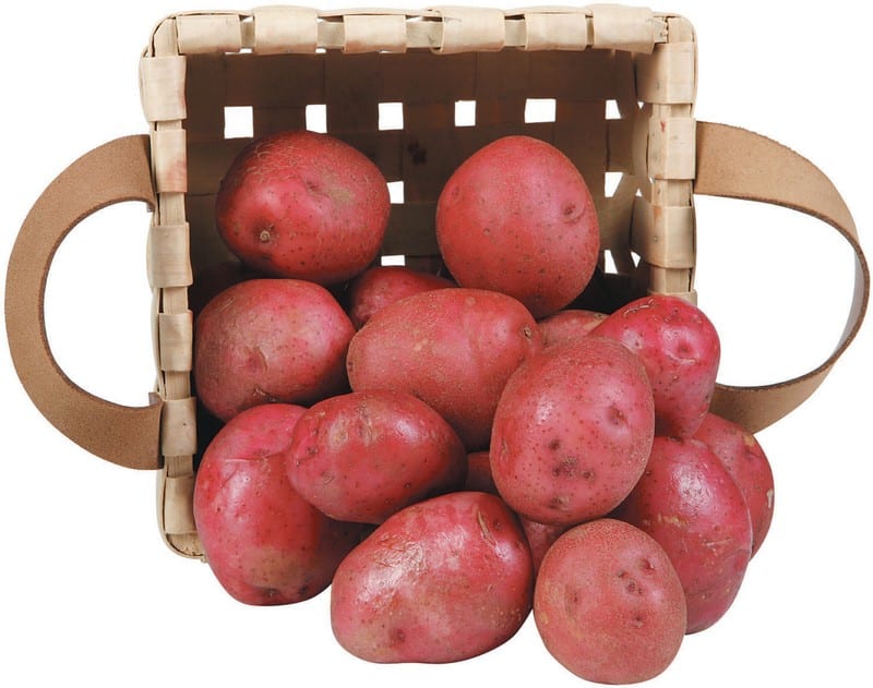 Red Potatoes Falling Out of Basket Food Picture