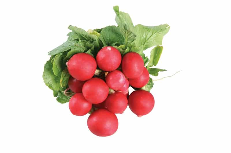 Loose Red Radish Food Picture
