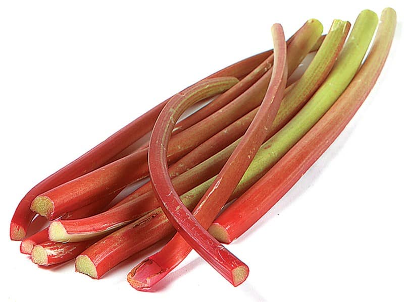 Rhubarb Stalks on White Background Food Picture