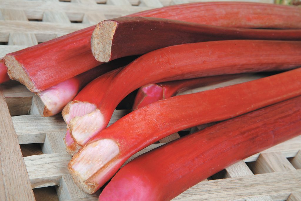 Rhubarb Stalks on Wooden Surface Food Picture