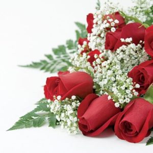 Dozen Red Roses with Baby's Breath, Zoomed In Food Picture