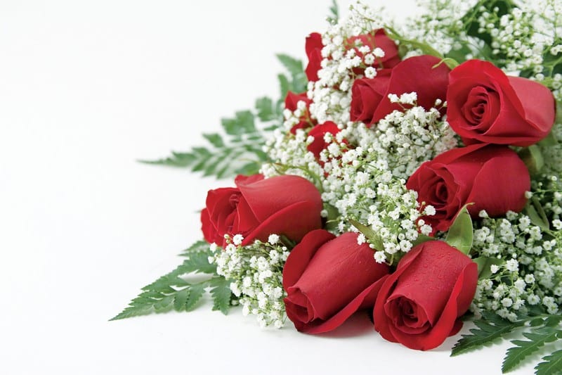 Dozen Red Roses with Baby's Breath, Zoomed In Food Picture