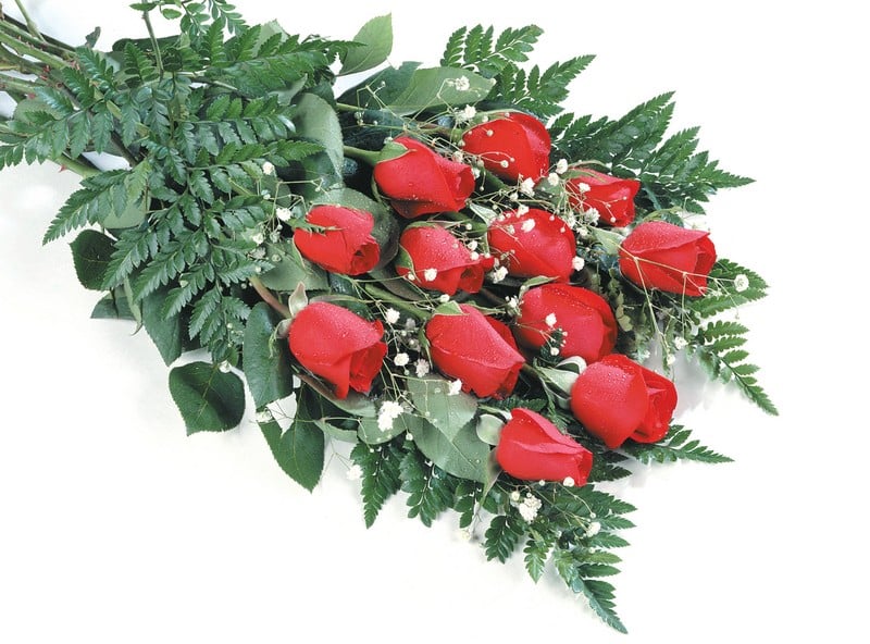 Dozen Red Roses with Leaves and Baby's Breath Food Picture