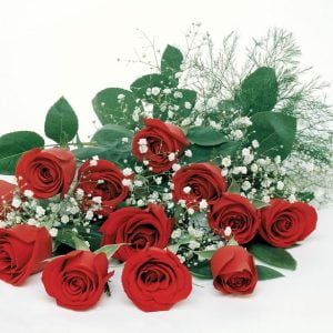 Dozen Loose Red Roses with Baby's Breath Food Picture