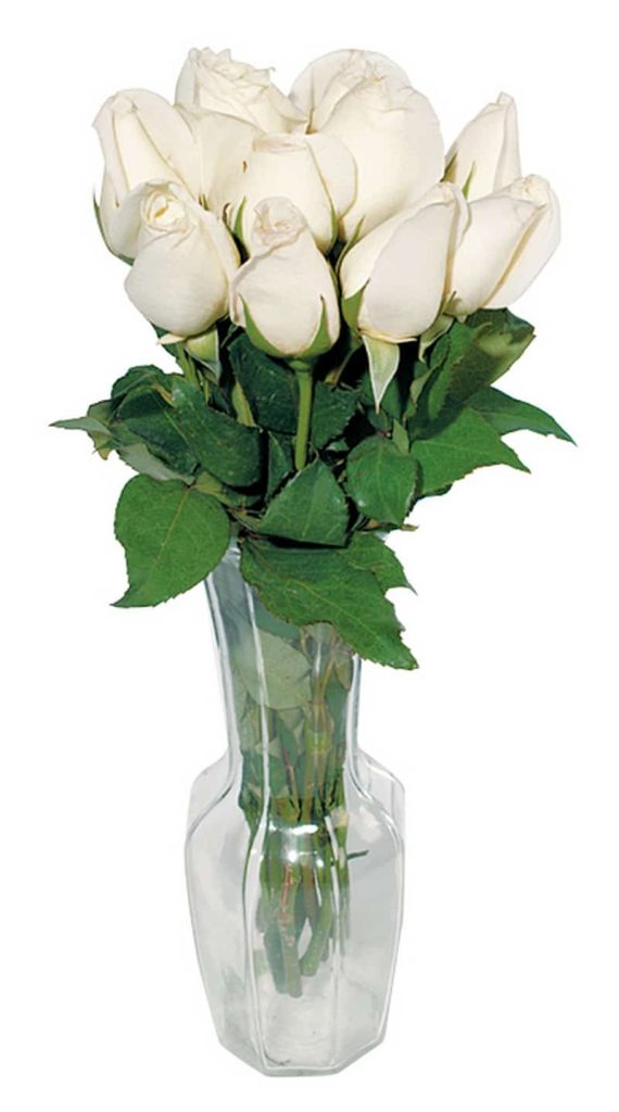 Clear Vase of White Roses Food Picture