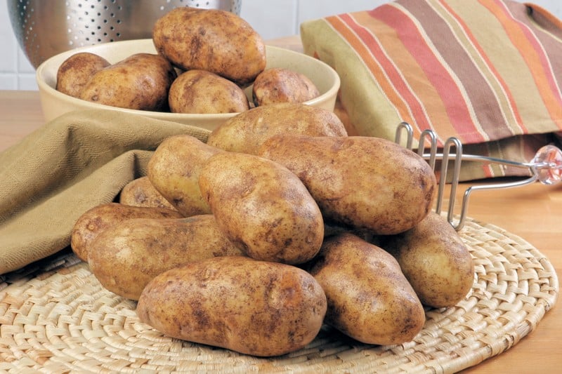 Russet Potato Food Picture