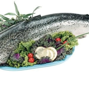 Whole Salmon over Greens on Blue Plate Food Picture