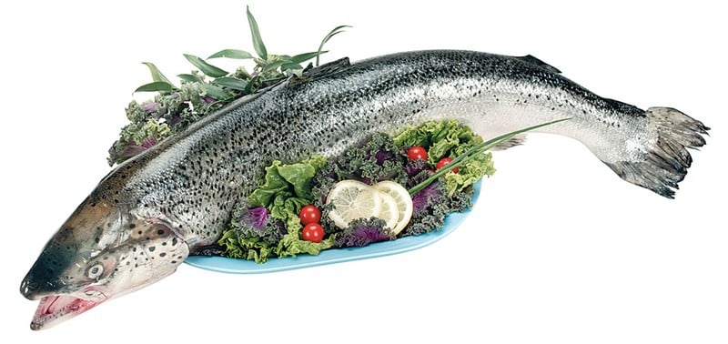Whole Salmon over Greens on Blue Plate Food Picture