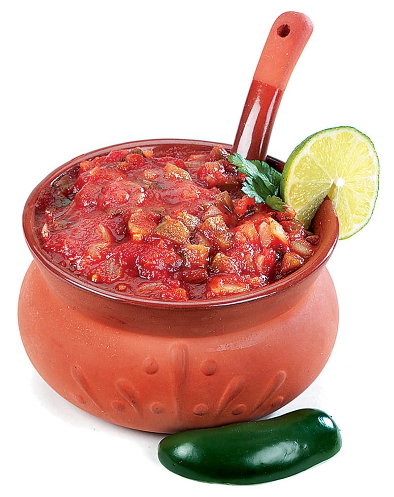 Salsa in Bowl with Garnish and Spoon Food Picture