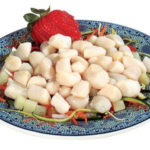 Bay Scallops on Colorful Plate Food Picture