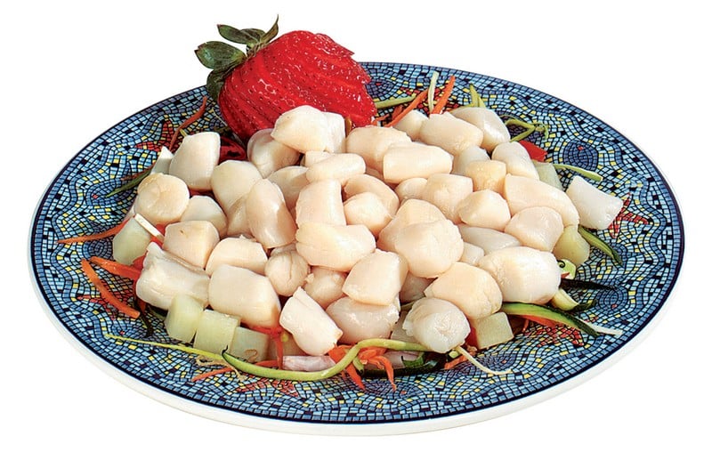 Bay Scallops on Colorful Plate Food Picture