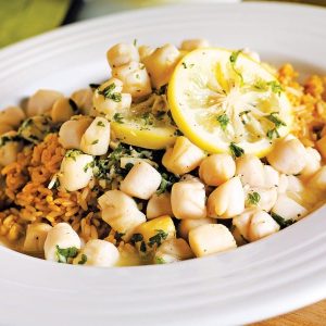 Bay Scallops with Garnish in White Bowl Food Picture