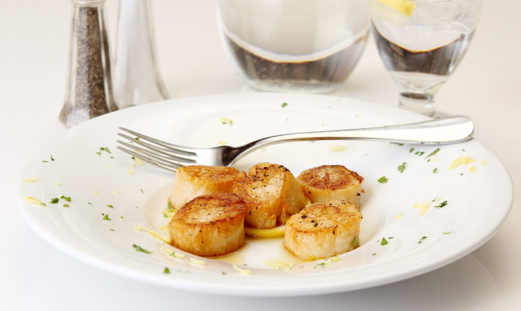 Cooked Plain Scallops Food Picture