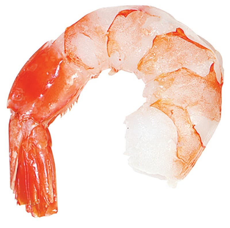Single Shrimp on White Background Food Picture