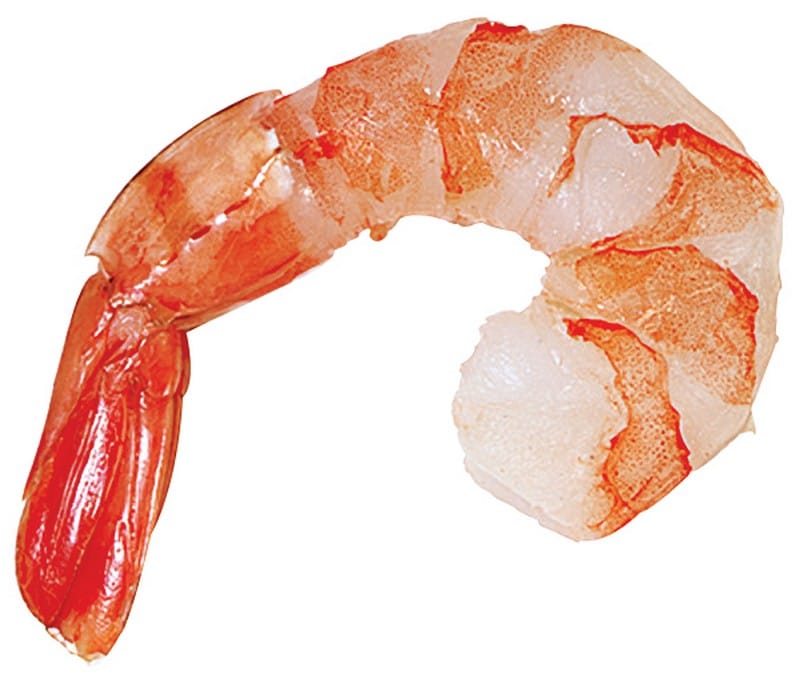 Single Loose Shrimp on White Background Food Picture