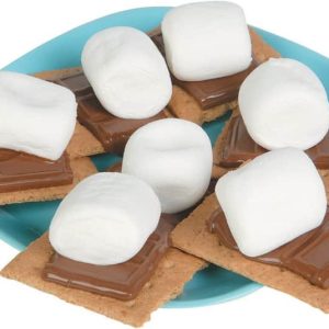 Smores on a Plate Food Picture