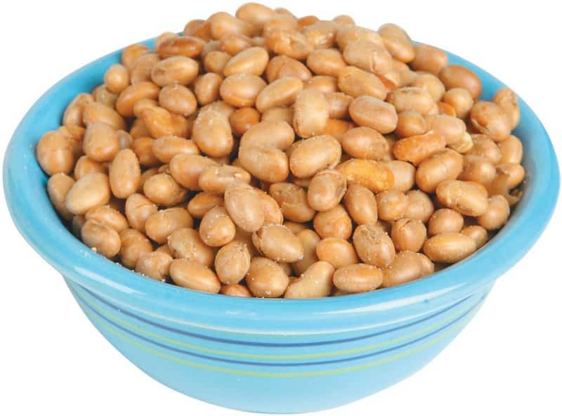 Soy Nuts in a Blue Bowl Food Picture