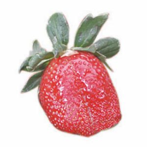 Single Fresh Strawberry Food Picture