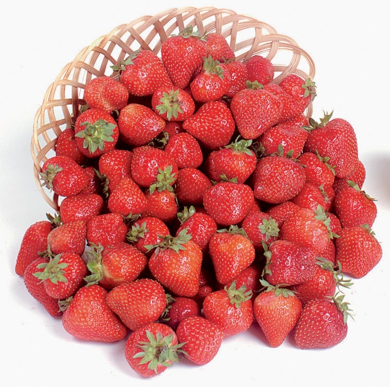 Overflowing Baskets of Fresh Strawberries Food Picture