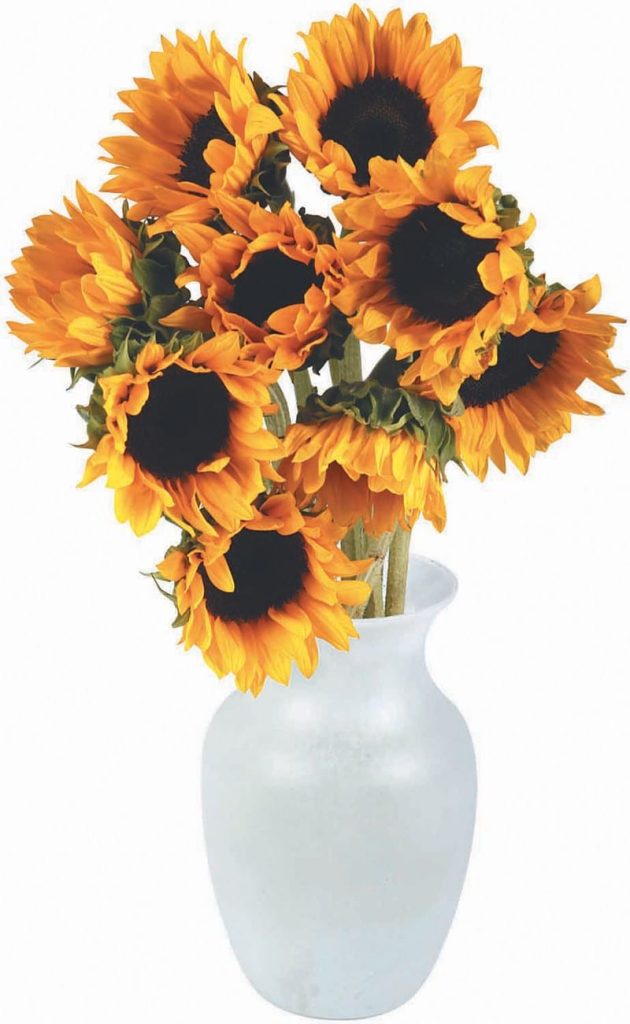 Sunflower Bouquet in a Vase Food Picture