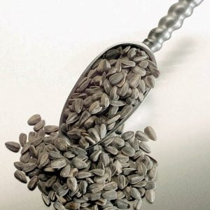 Sunflower Seeds Inside a Scoop Food Picture