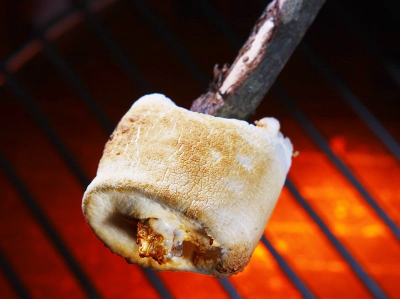 Toasted Marshmallow Food Picture