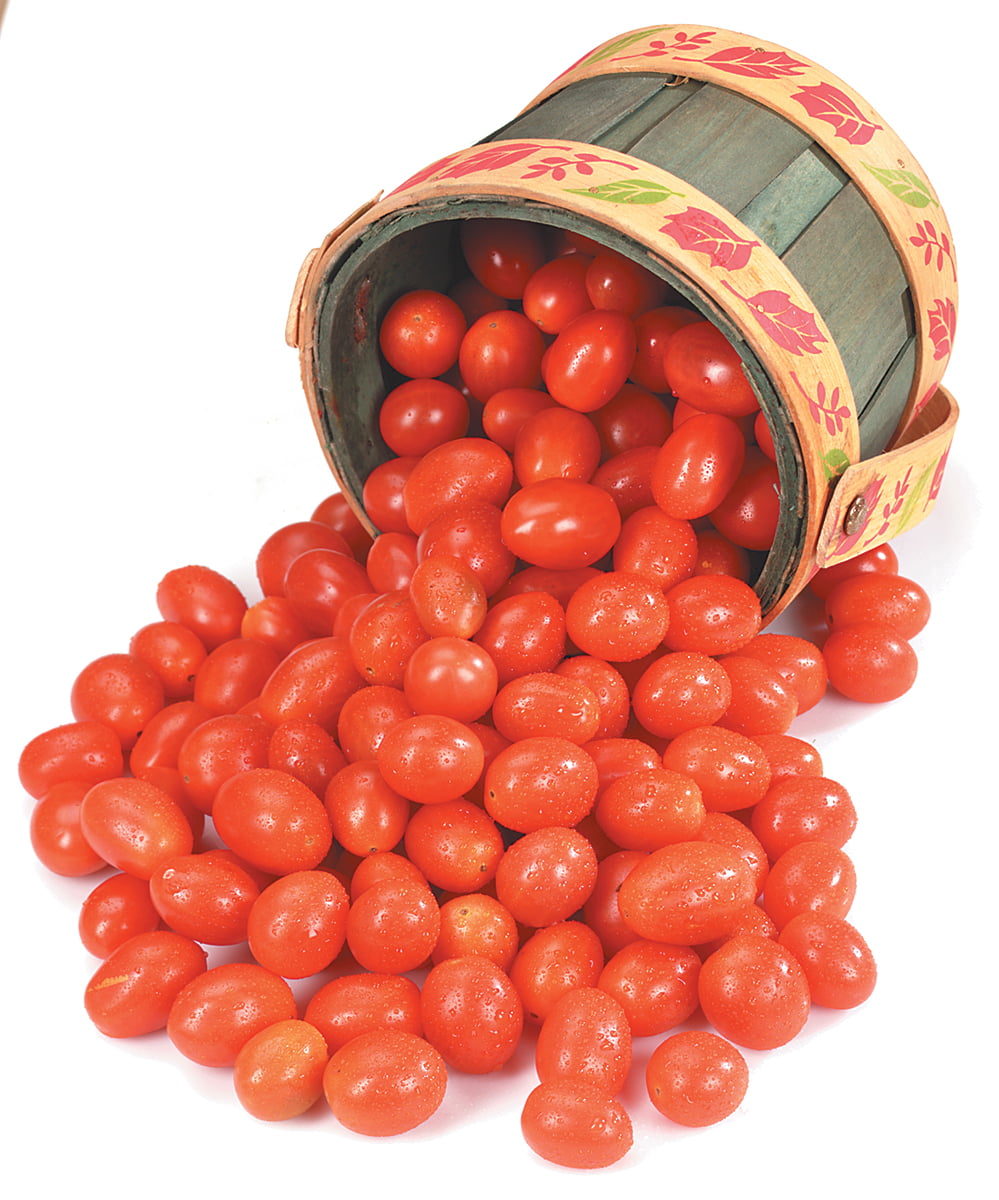 Basket of Washed Grape Tomatoes on White Backgroun Food Picture
