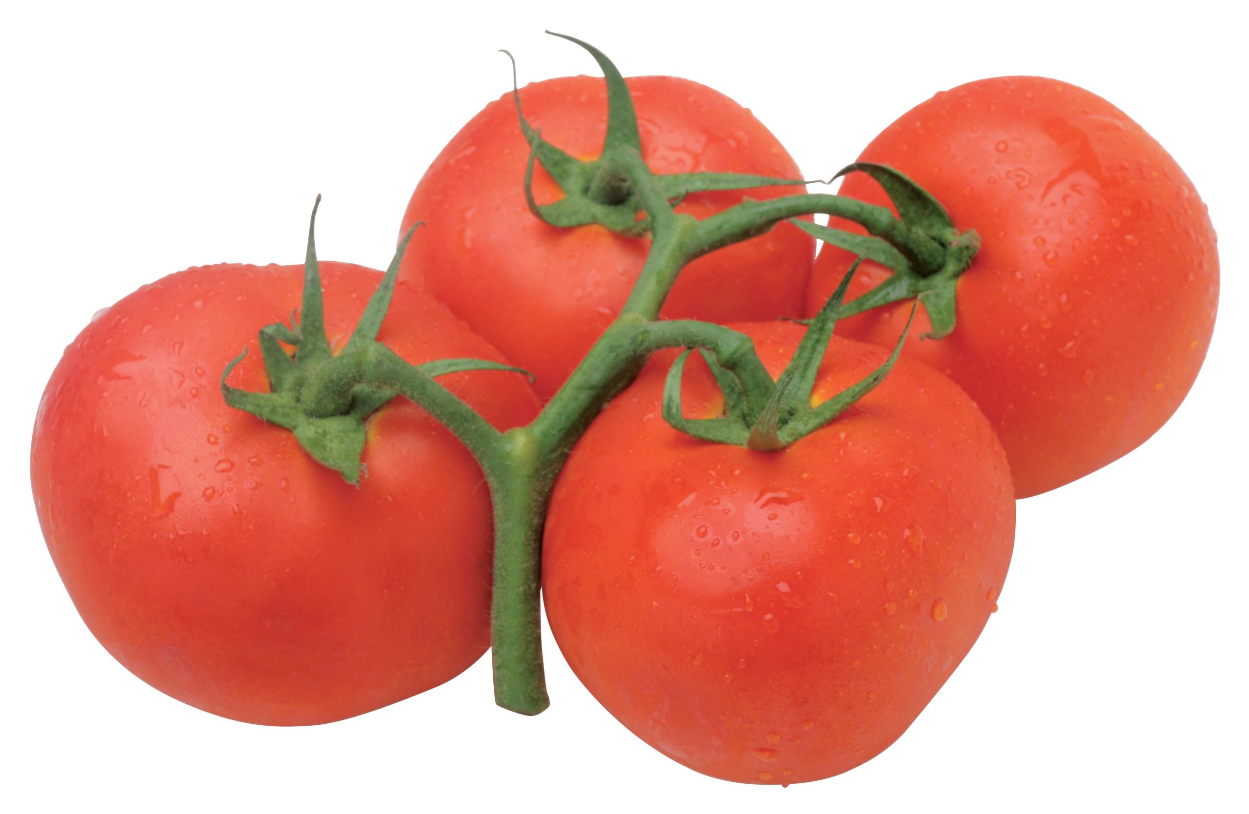 Fresh Tomatoes Food Picture