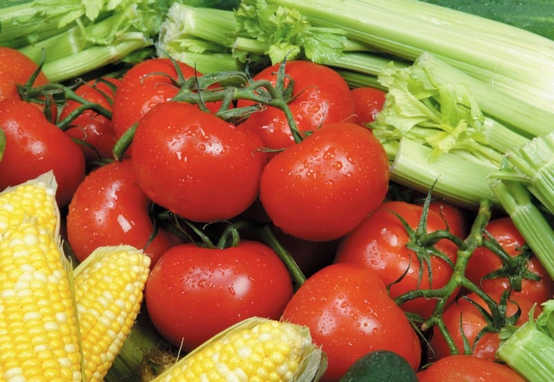 Tomatoes with Corn and Celery Food Picture