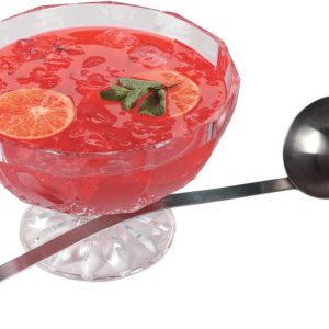 Tropical Punch in a Bowl Food Picture