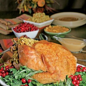 Turkey Dinner and Cranberries Food Picture