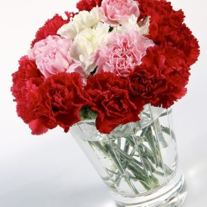 Fresh Valentine's Day Bouquet in a Glass Vase Food Picture
