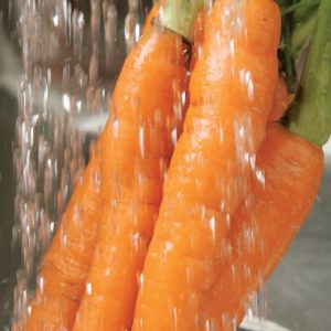 Washing Carrots Food Picture