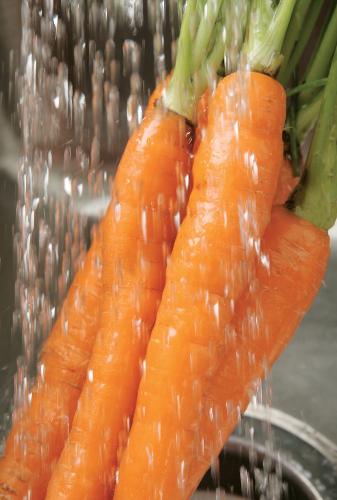 Washing Carrots Food Picture