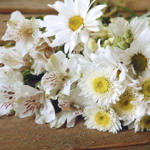 White Flowers on Aged Wood Table Food Picture